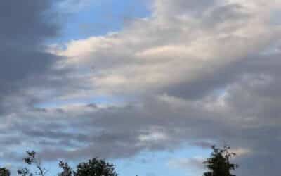 Courting the Muse: Embracing the WOW