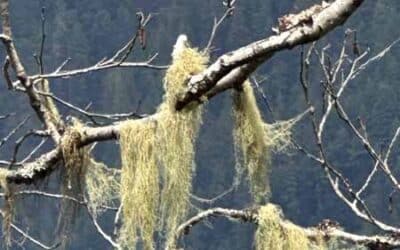 You’ve got some ‘splorin’ to do, Lucy!