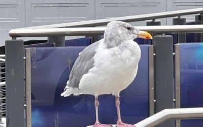 Get Thee to a Gallery: An Artist Date