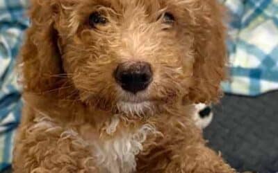 No More Stinkin’ Navel Gazing