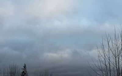 The Landscape of Connection