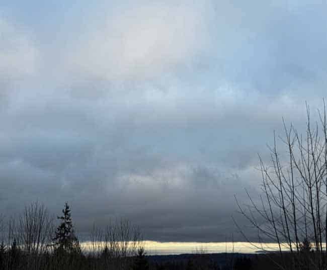 Re-entry2 Cloud-heavy sky over the strait with dark winter tree branches in the foreground
