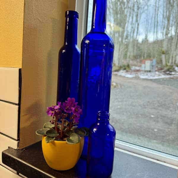 Yellow Cobalt blue glass bottles on windowsill beside a bright yellow pot of African violets with purple blooms