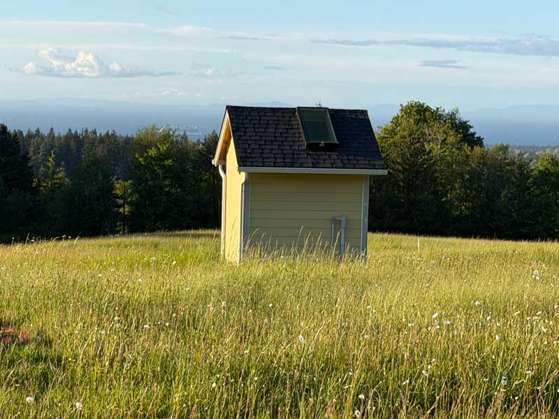 Pump House Yellow small shed with a dark roof sits in a sunlit meadow with tall grass and trees in the background.