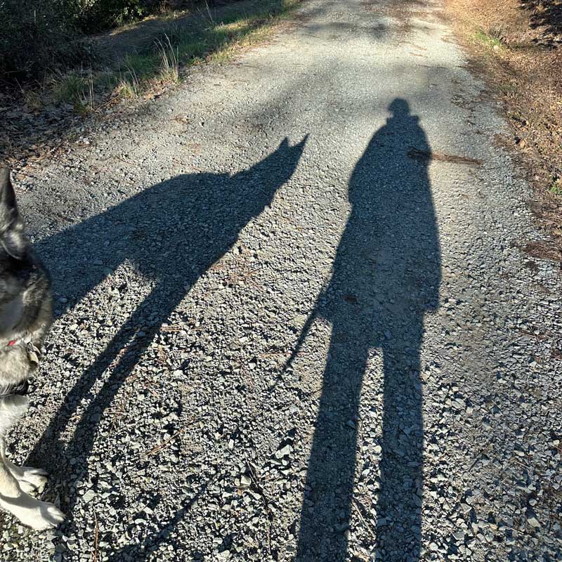 Shadows Long shadows of a woman and a dog stretch across a gravel road during golden hour while another dog enters the edge of the frame.