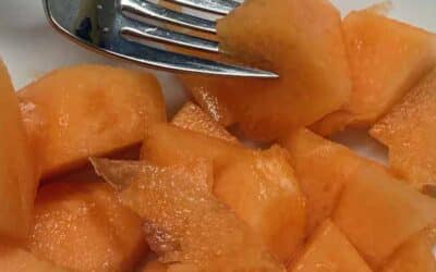 Creative Lessons from a Cantaloupe